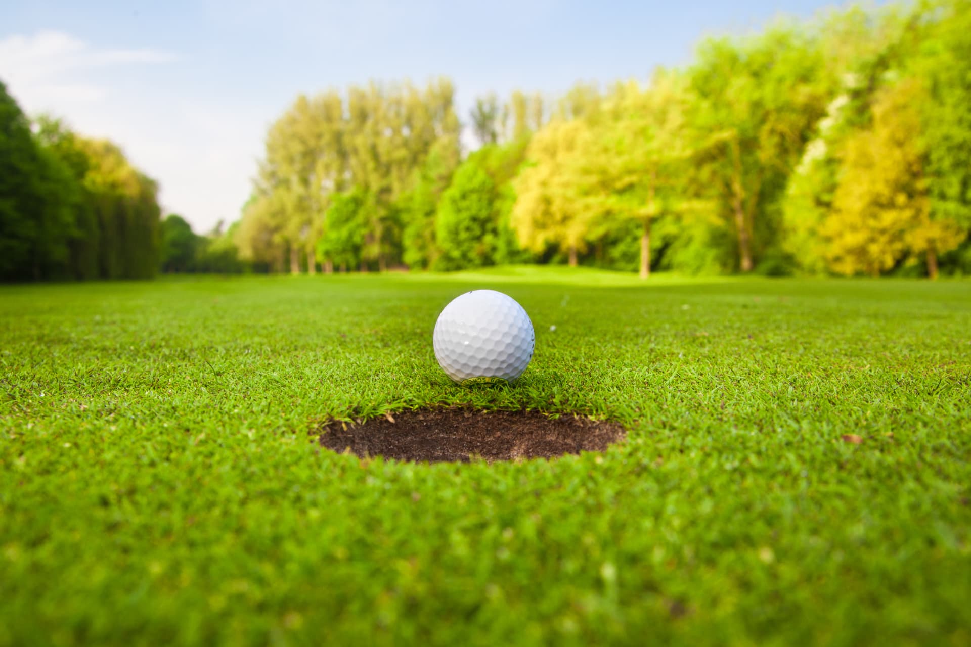 Golf ball resting at the edge of the hole on a green — the right fit
